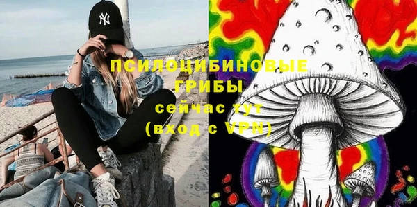 прущий лед Арсеньев