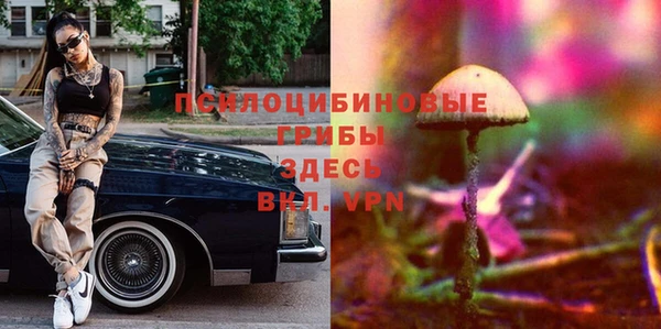 прущий лед Арсеньев
