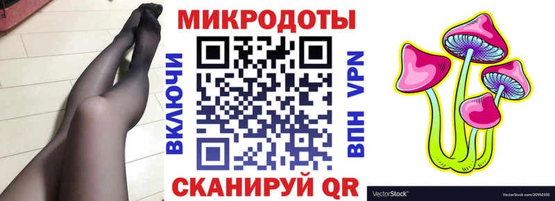 закладки  Дорогобуж  Псилоцибиновые грибы Cubensis 